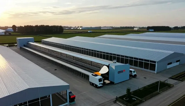 如何在批发供货中优化交期管理的关键策略